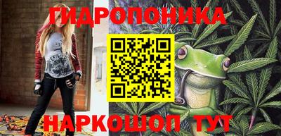 мяу мяу мука Пушкино