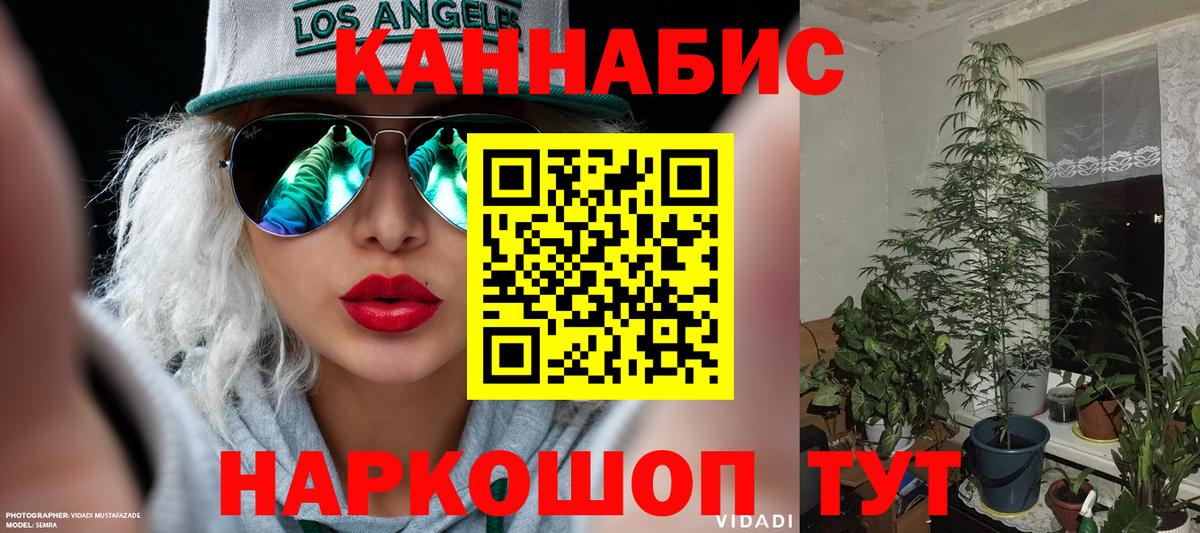 Шишки марихуана Ganja  Бошки Шишки планчик  Пенза  Вход с VPN 
